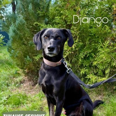 Django