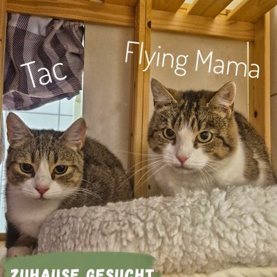 Tac und Flying MAMA