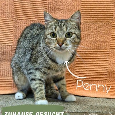 Penny