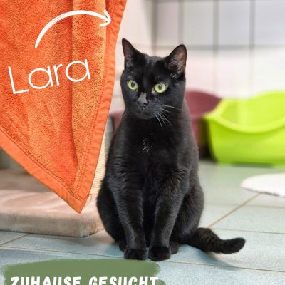 Lara