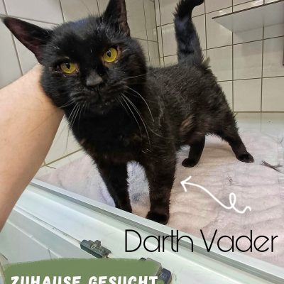 Darth Vader