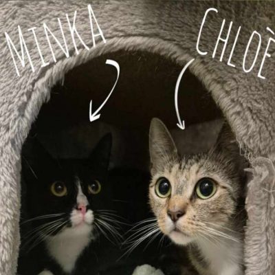 Chloè und Minka