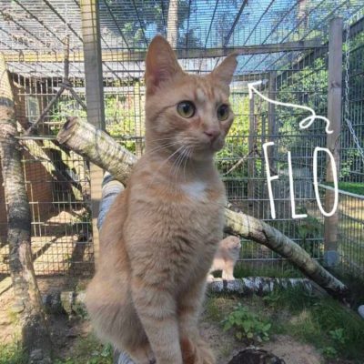 Flo