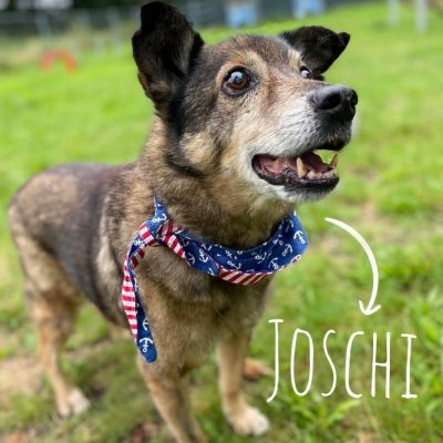 Joschi
