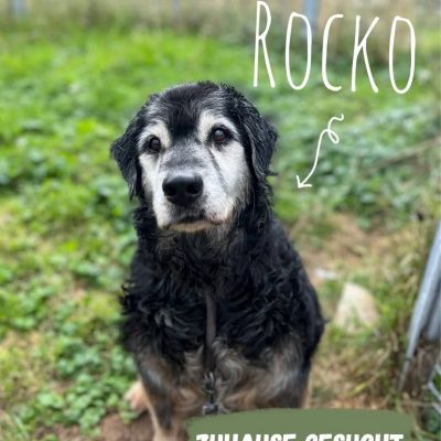 Rocko