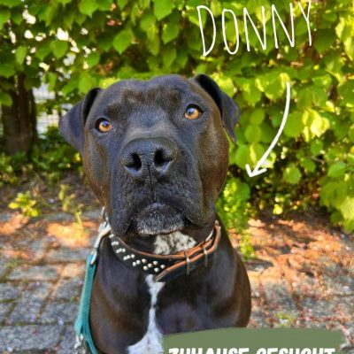 Donny