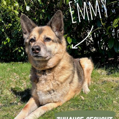 Emmy