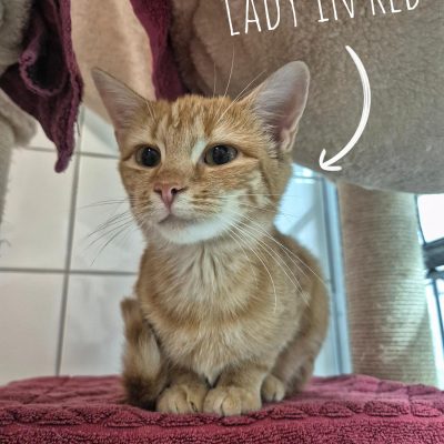 Simply und Lady