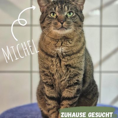 Michel