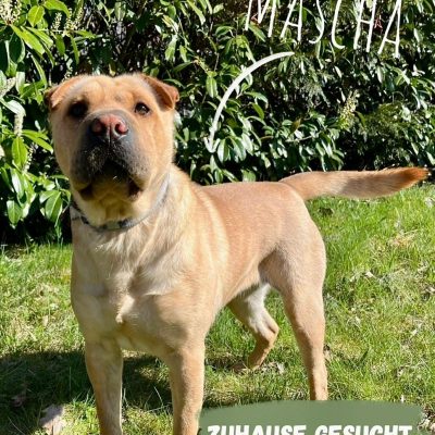 Mascha